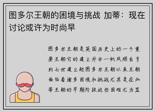 图多尔王朝的困境与挑战 加蒂：现在讨论或许为时尚早